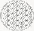 liveh2o_hdrlogo
